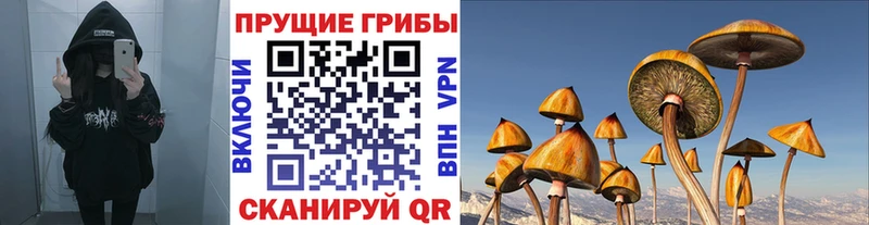 как найти Жуковка Галлюциногенные грибы MAGIC MUSHROOMS