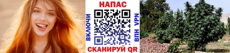 KRAKEN вход  наркота  Жуковка  Марихуана LSD WEED 